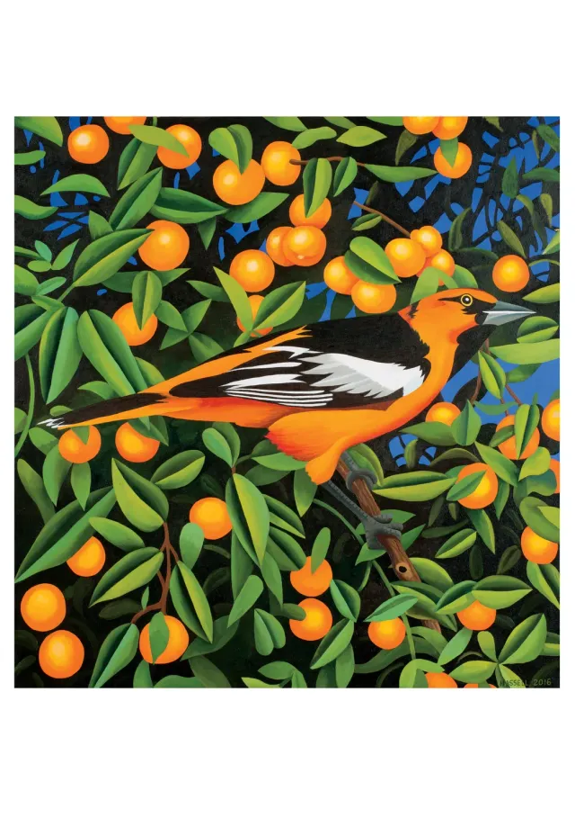 Pomegranate Billy Hassell Tangerines fødselsdagskort fugl