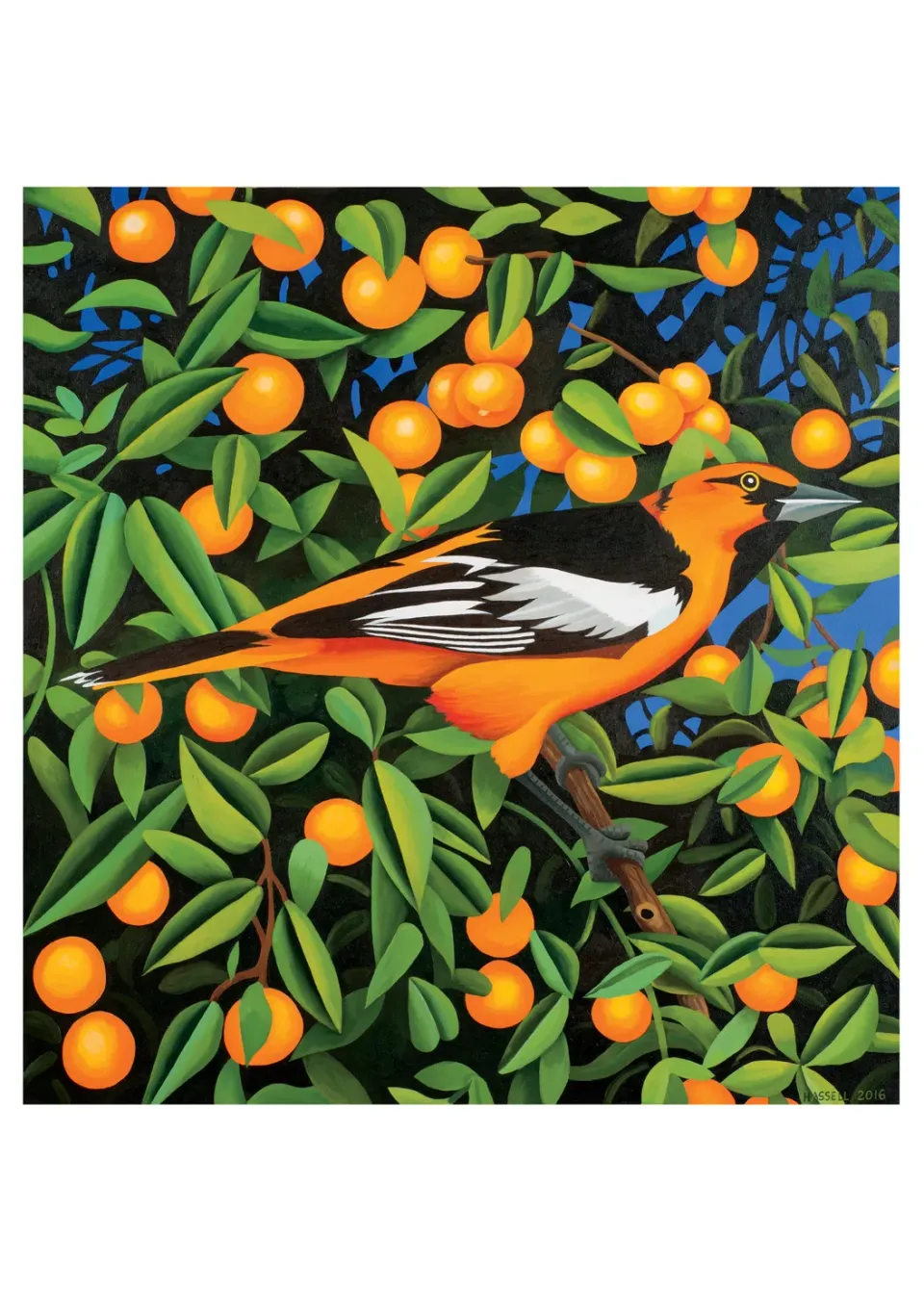 Pomegranate Billy Hassell Tangerines fødselsdagskort fugl