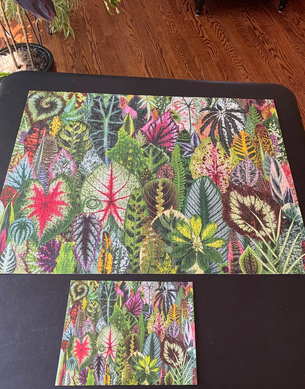 Good Puzzle Co. Houseplant Jungle kortæske 16 kort planter