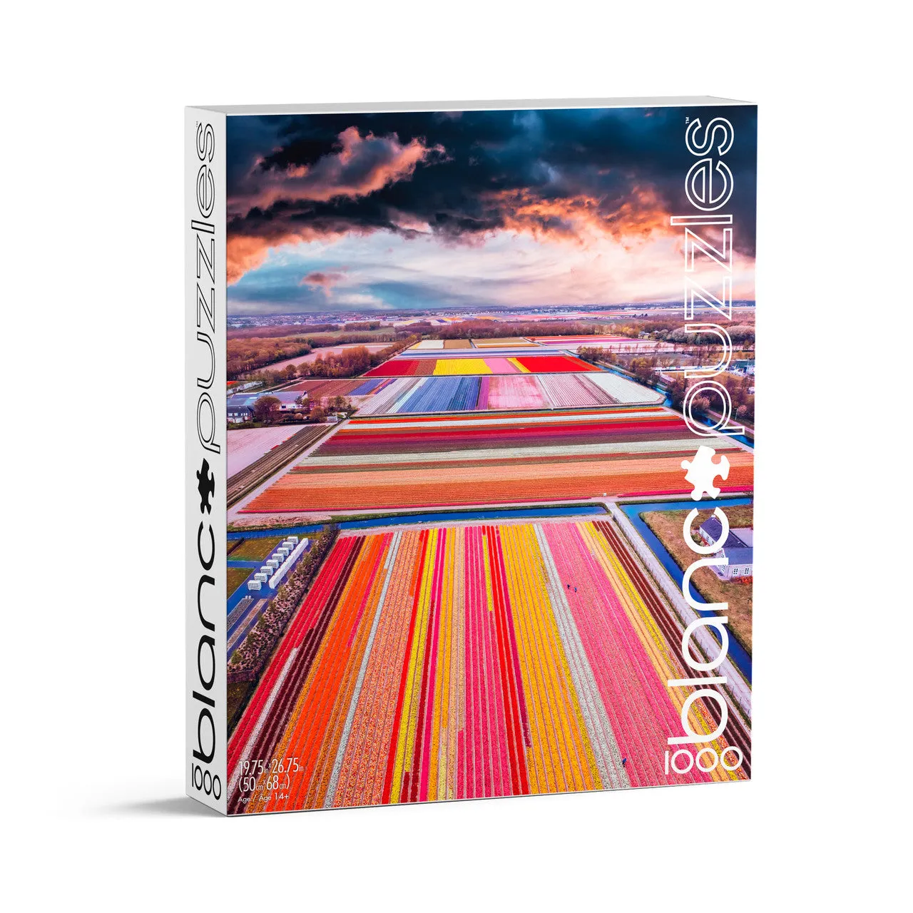 Buffalo Games Blanc Infinity Fields of the Netherlands 1000 puslespil Holland