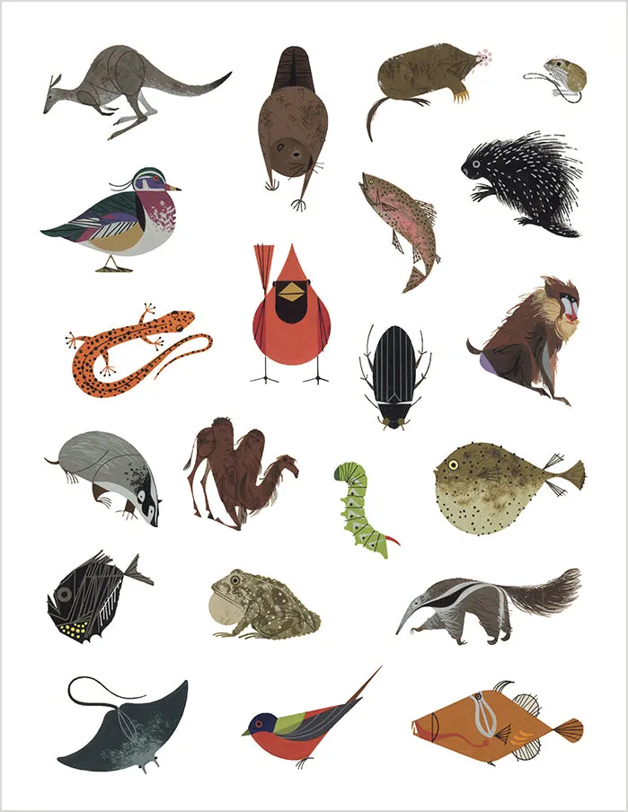 Charley Harper Tree of Life klistermærkebog dyr