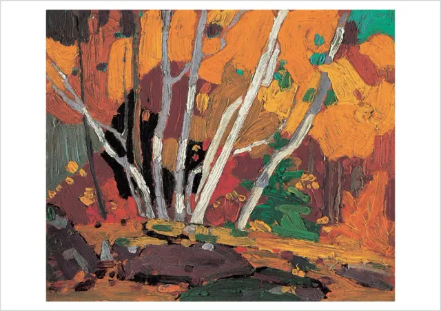 Pomegranate Tom Thomson Autumn Birches postkort