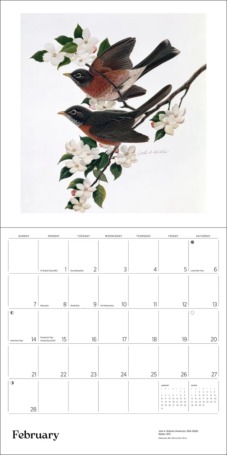 Pomegranate A Birder's View 2027 vægkalender fugle