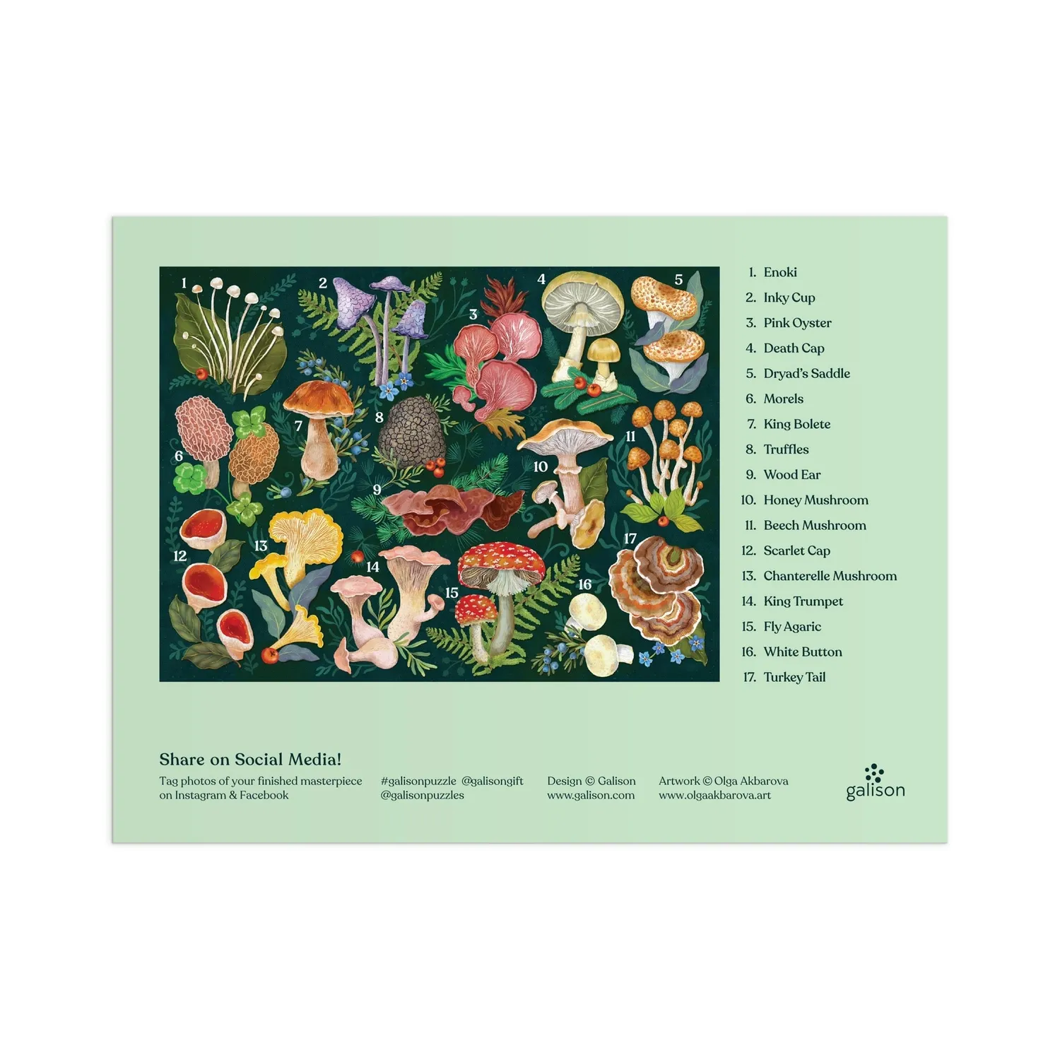 Good Puzzle Co. Mushrooms World of Mushrooms puslespil 1000 svampe