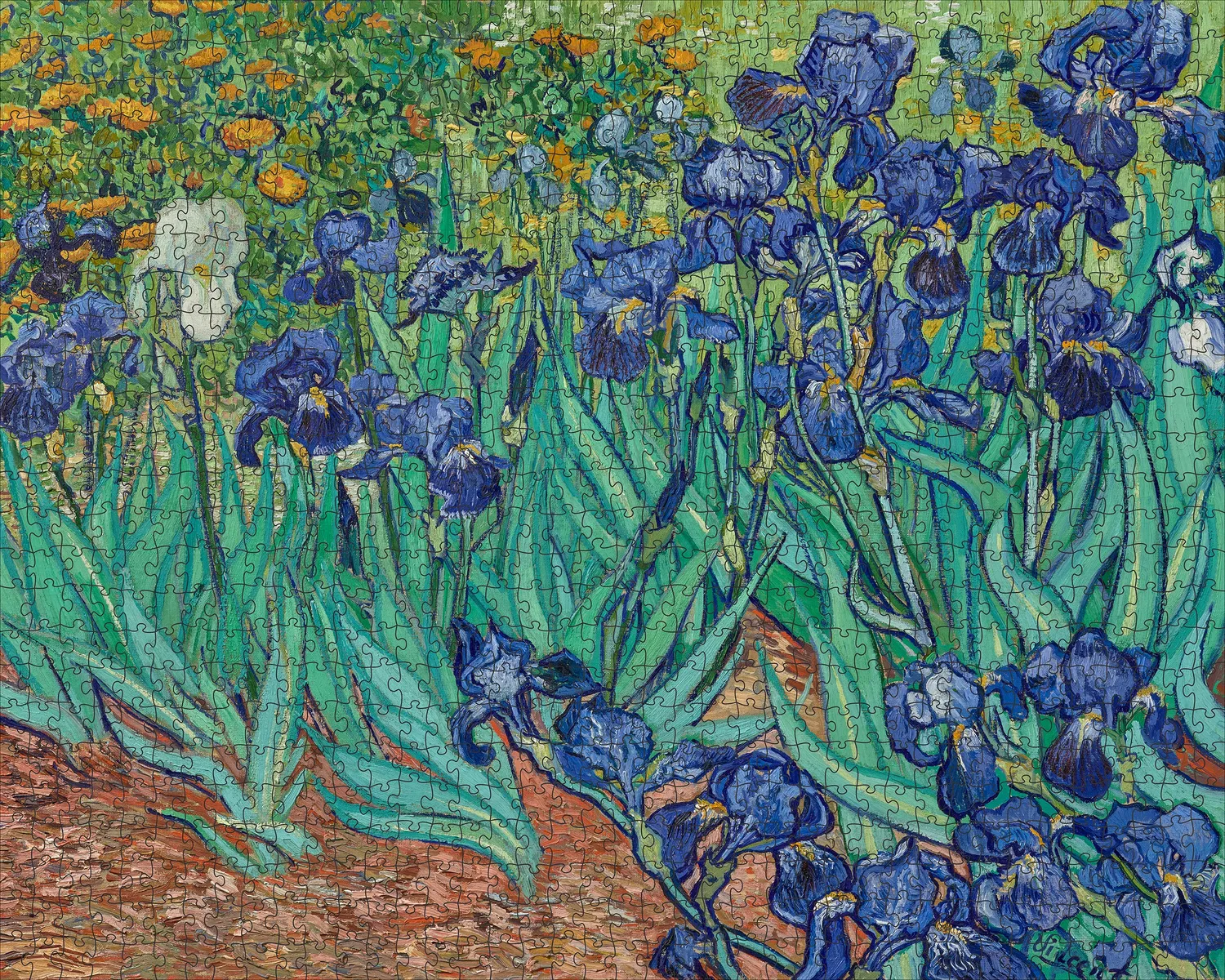 Pomegranate Vincent van Gogh Irises puslespil 1000 brikker