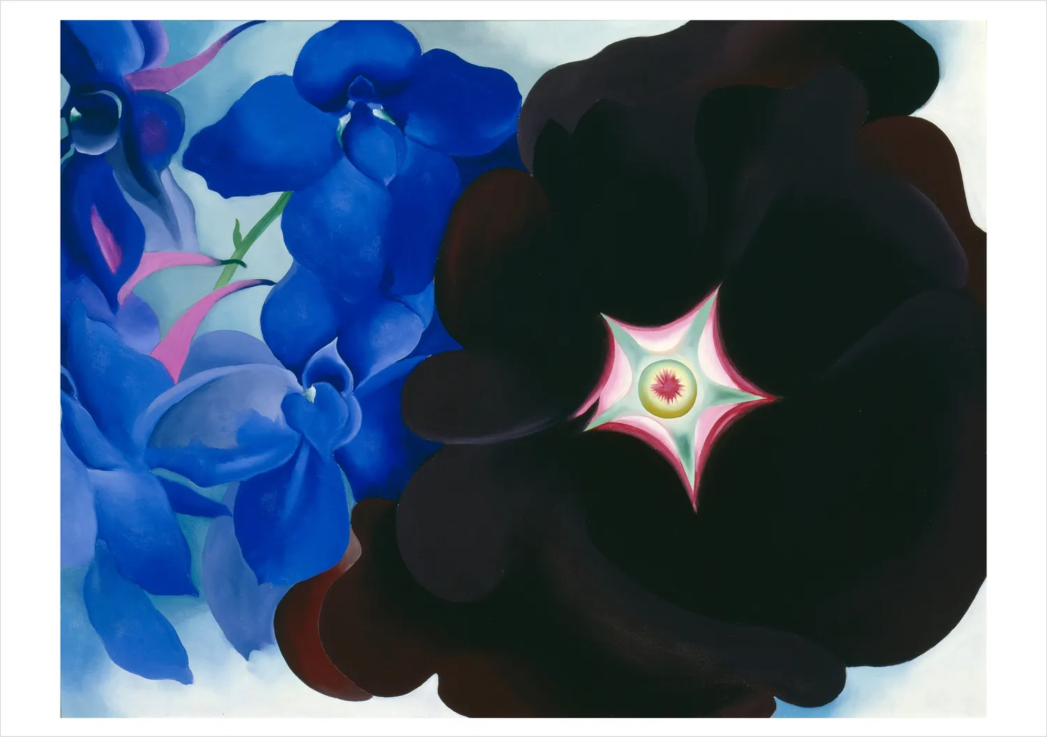 Pomegranate Georgia O’Keeffe Paintings kortsæt 20 stk blomst