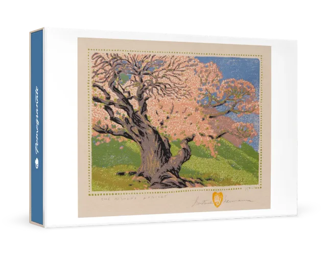 Pomegranate Gustave Baumann Bishop's Apricot kortæske lille