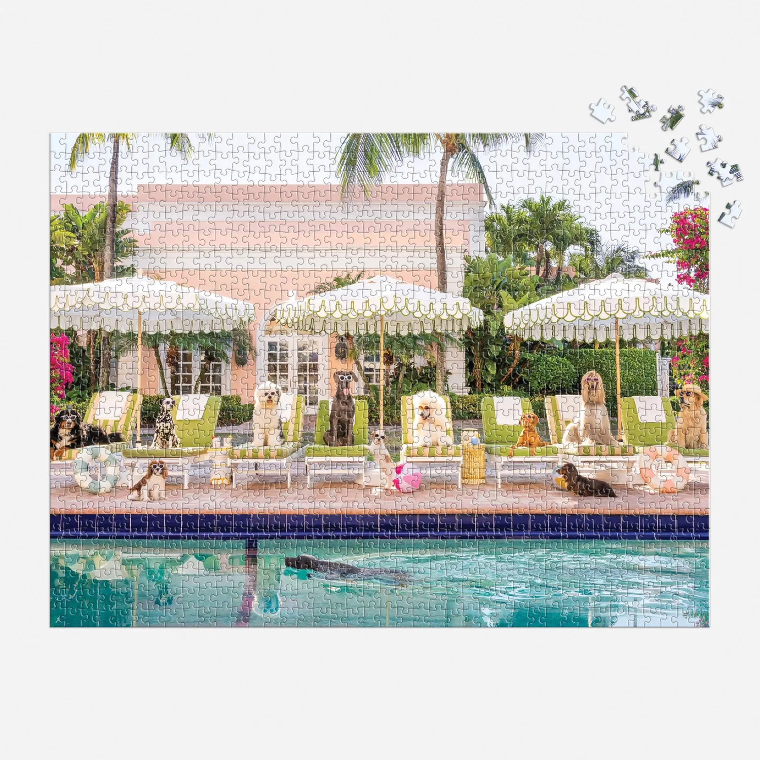 Gray Malin Pool Day Palm Beach puslespil 1000 brikker hunde