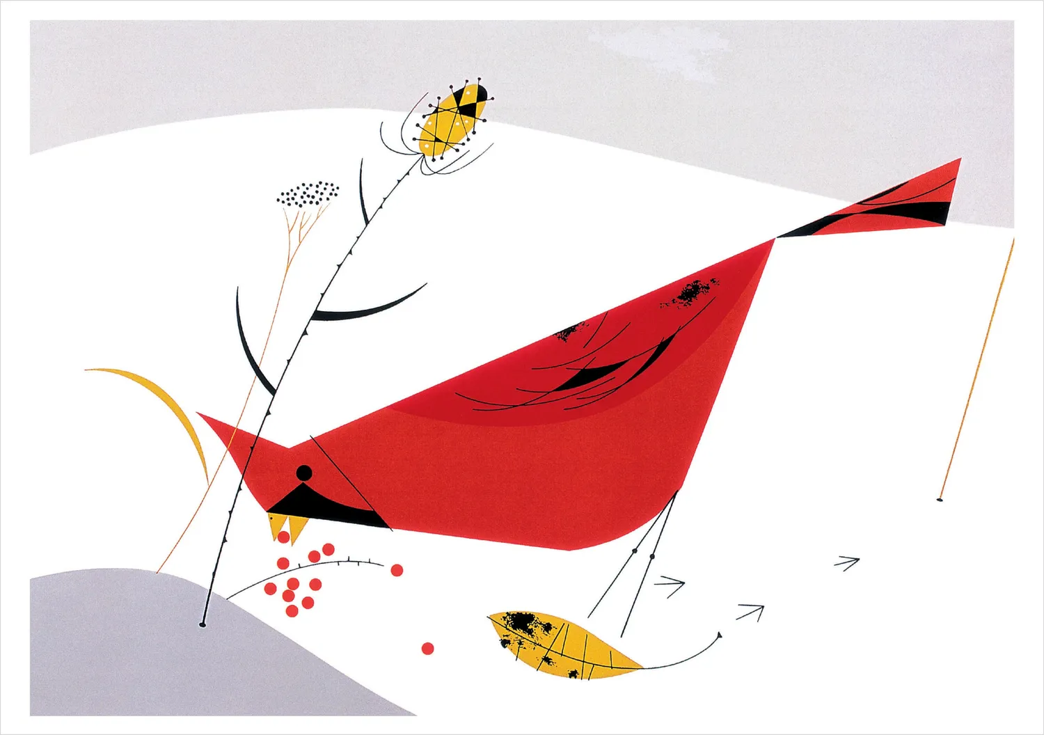 Pomegranate Charley Harper Birds julekort 20 stk vinterfugle