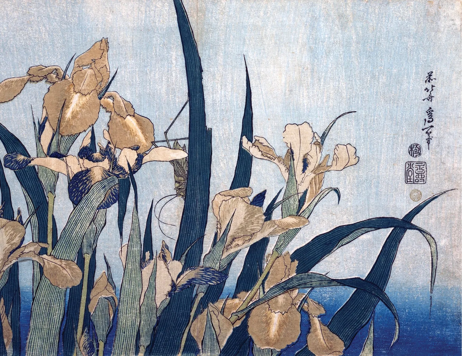 Pomegranate Hokusai Keepsake kortæske 20 kort Den Store Bølge