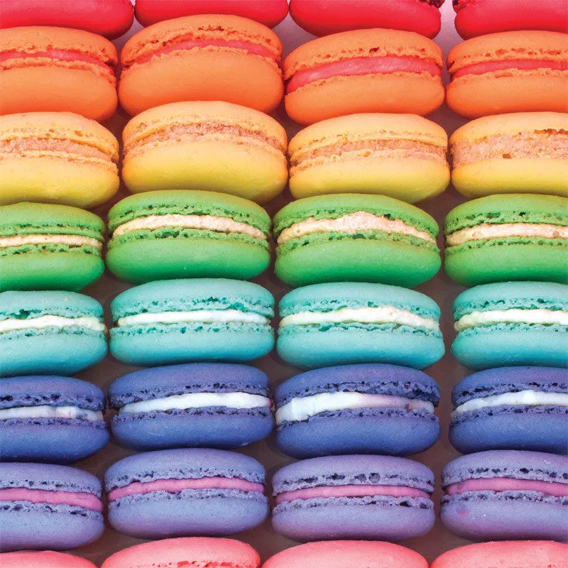 Buffalo Games Macaron Spectrum puslespil 300 store brikker