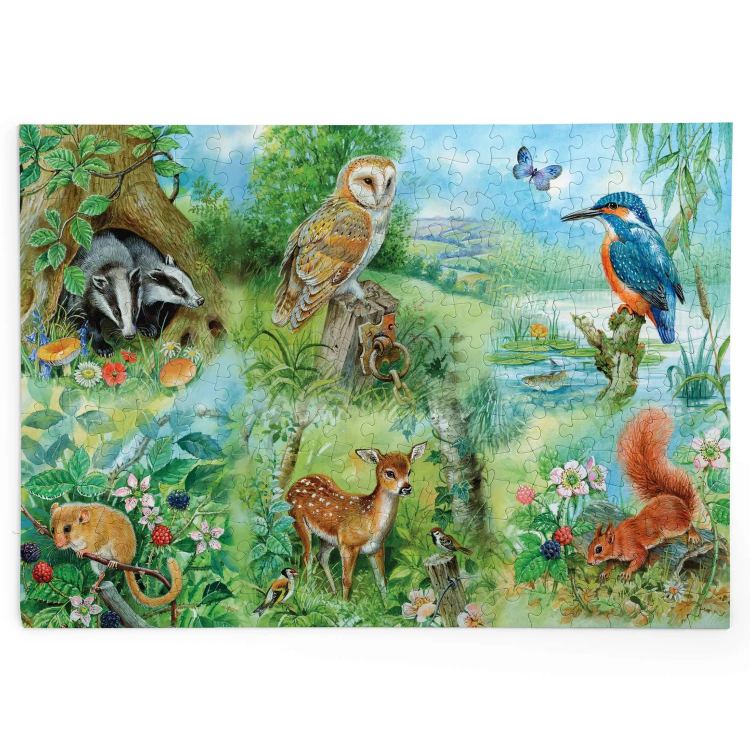 House of Puzzles BIG Nature Study puslespil 250 brikker dyr
