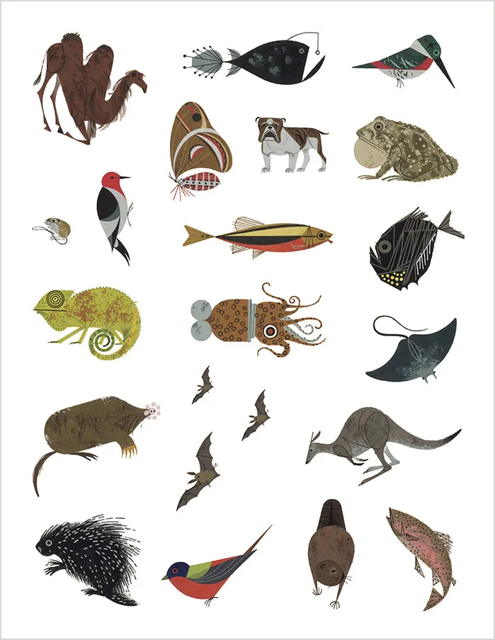 Charley Harper Tree of Life klistermærkebog dyr