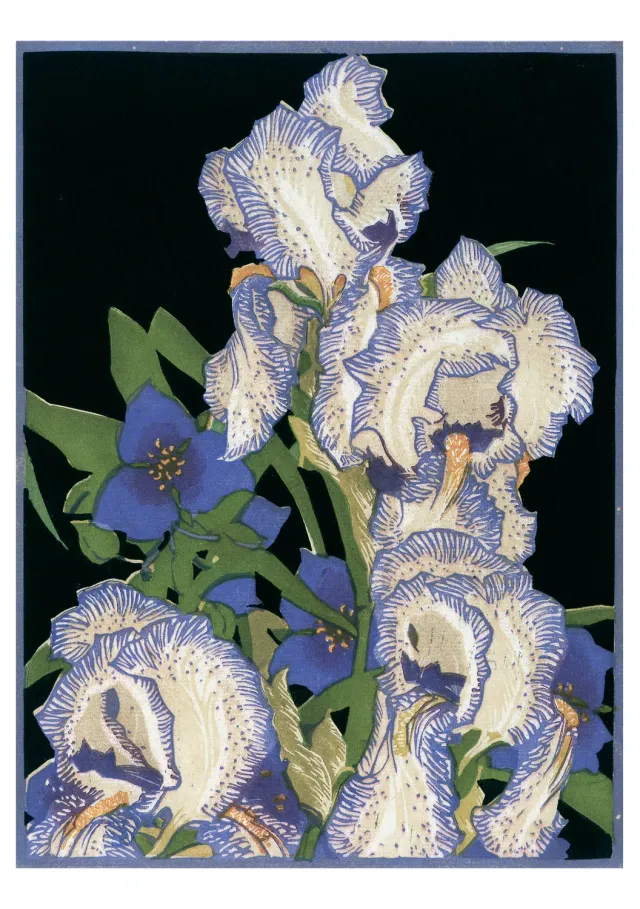 Pomegranate Franklin Carmichael Pencilled Irises kort enkelt haveblomst