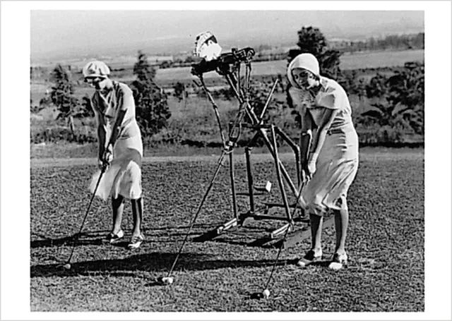 Pomegranate Golf Lesson postkort humor