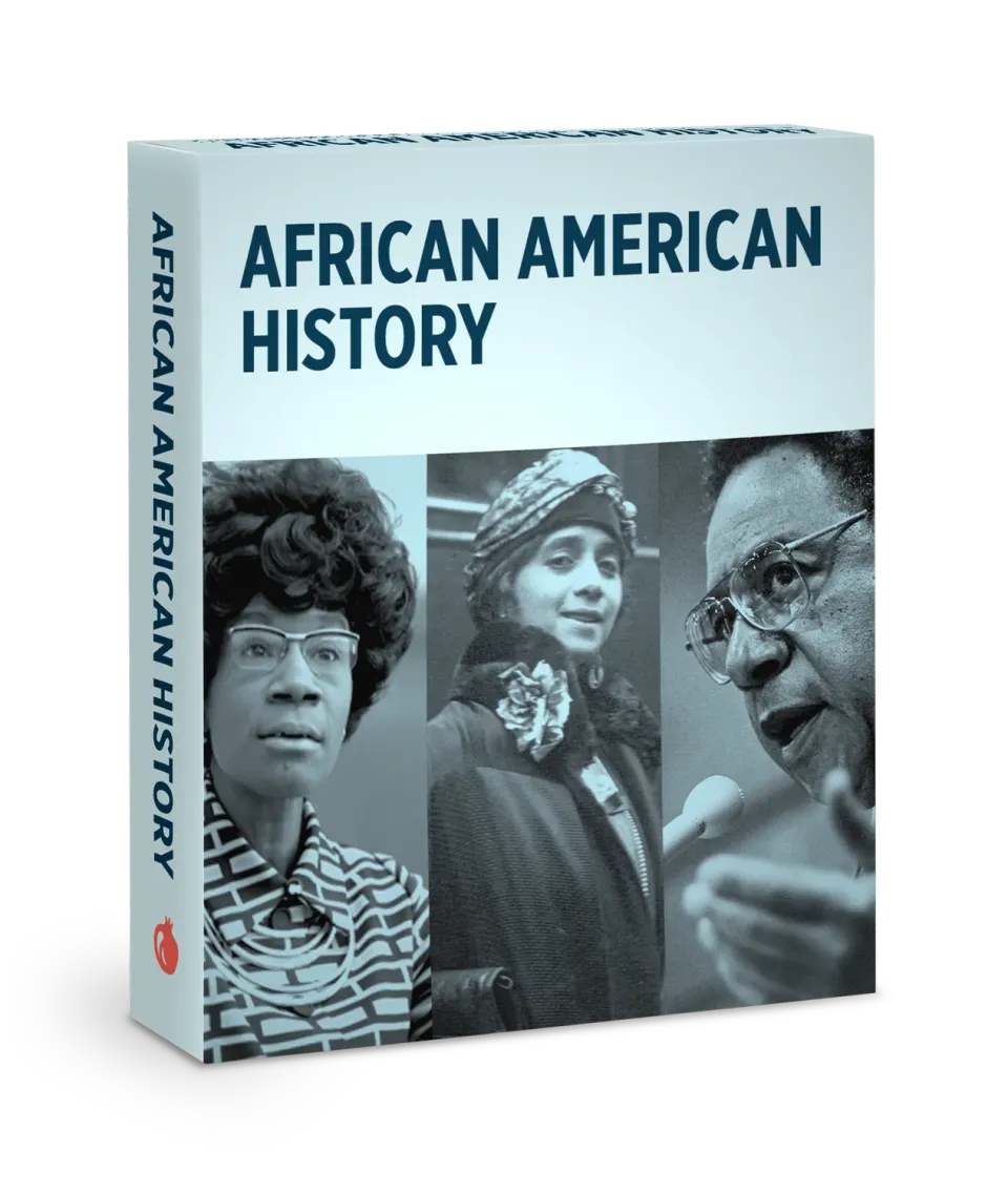 Pomegranate Knowledge Cards African American History videnskort 48 stk historie