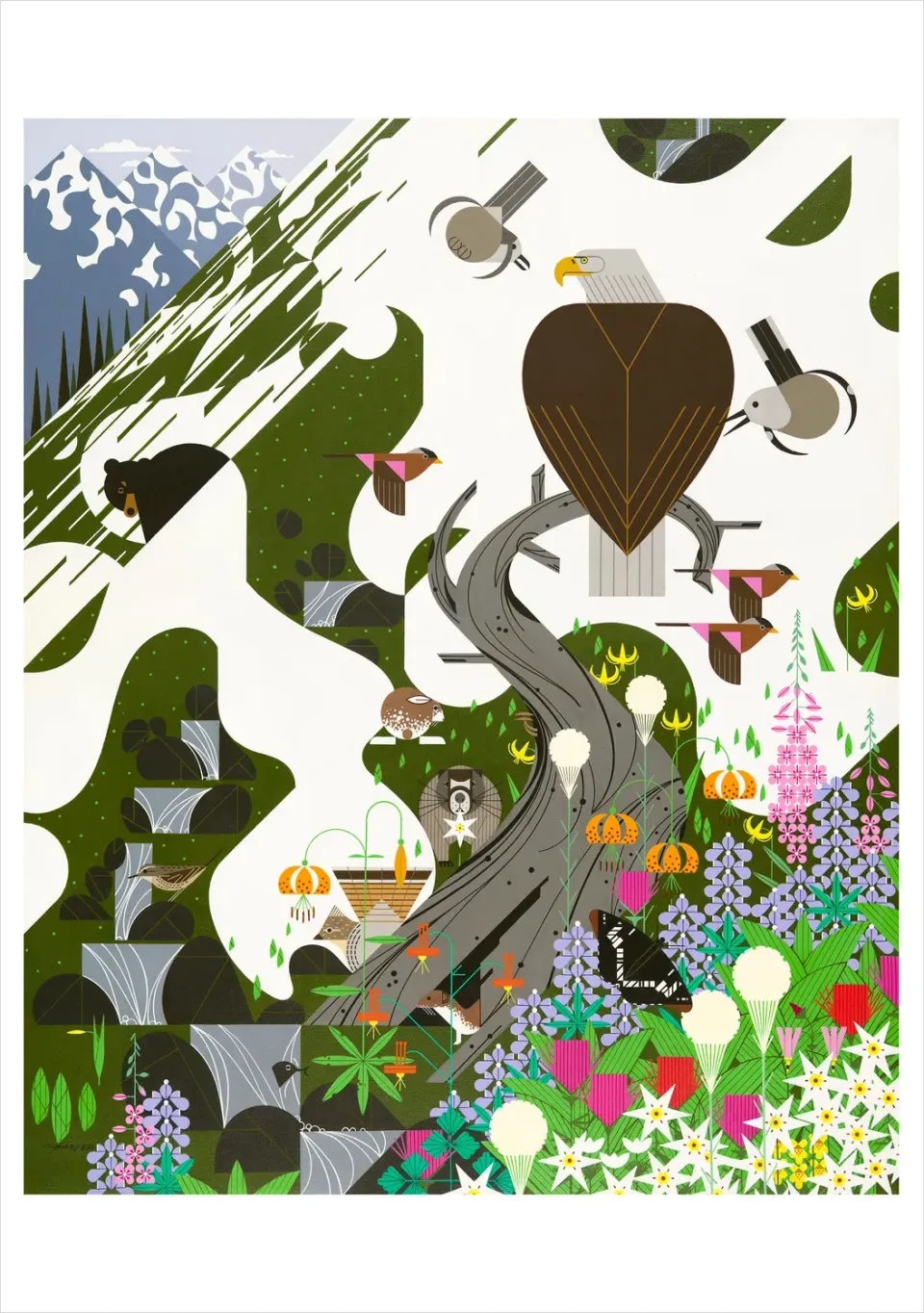 Pomegranate Charley Harper Alpine Northwest brevkort natur