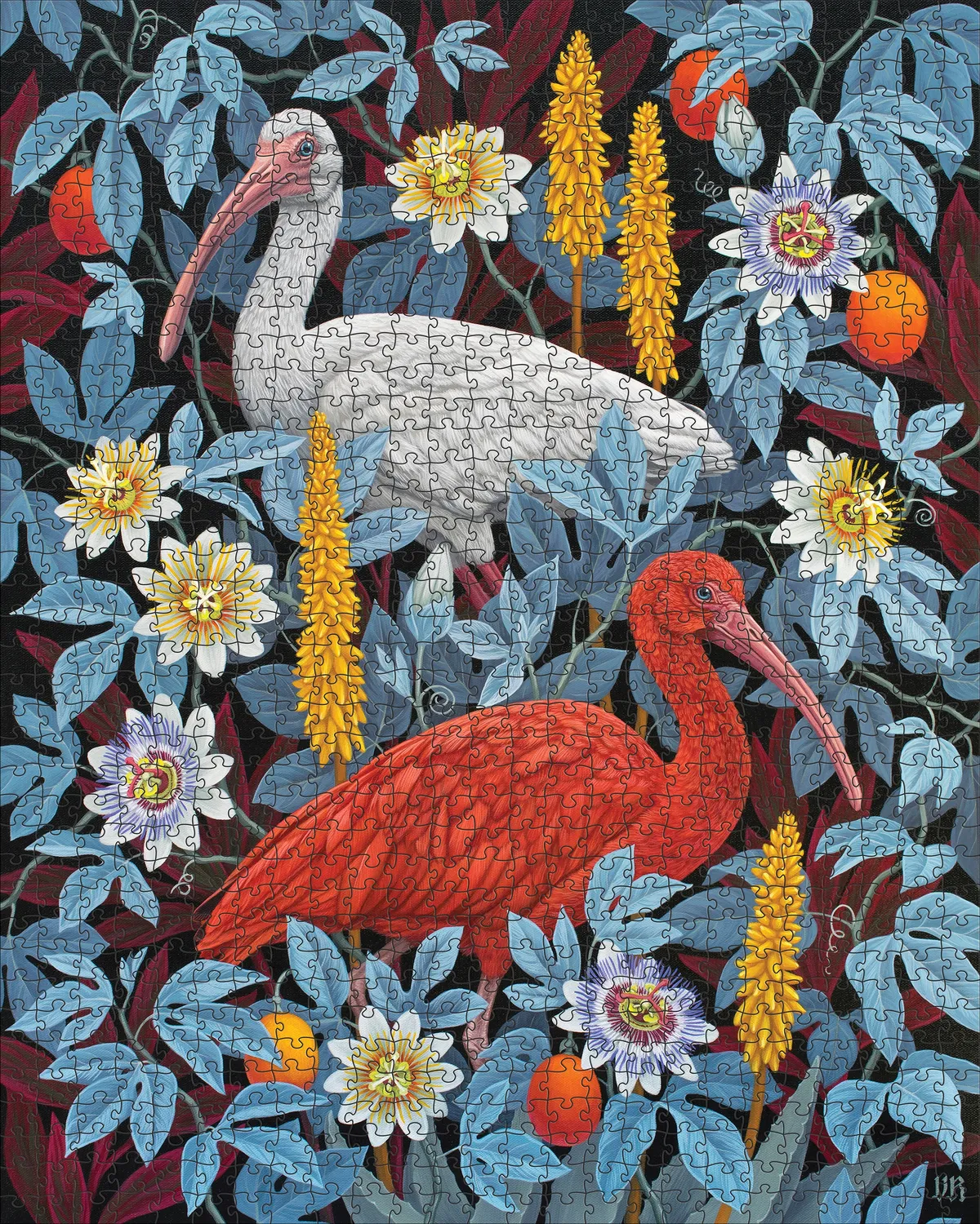 Pomegranate Vasilisa Romanenko Ibises puslespil 1000 brikker