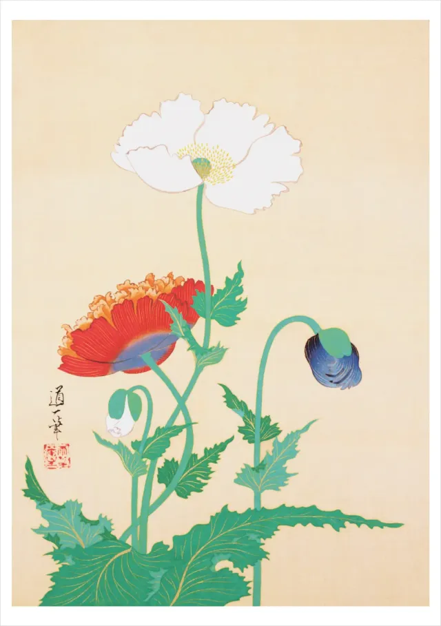 Pomegranate Sakai Doitsu Poppies enkeltkort blomster