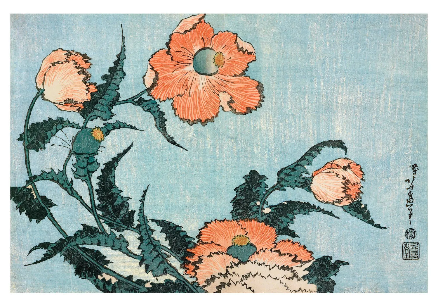 Pomegranate Hokusai Poppies små kort lille æske blomster