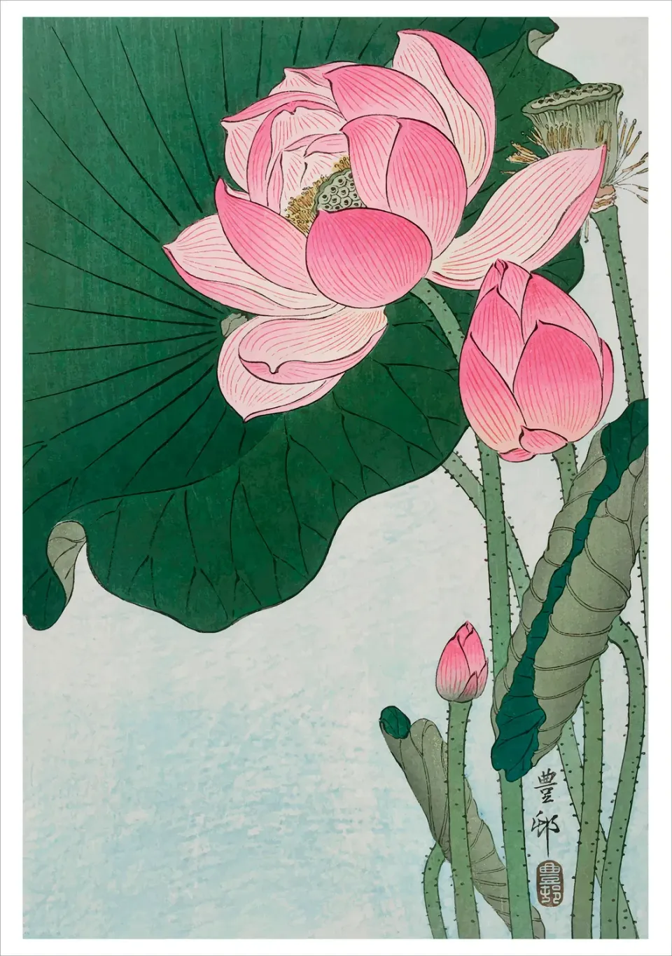 Pomegranate Blooming Lotus kort lotusblomst