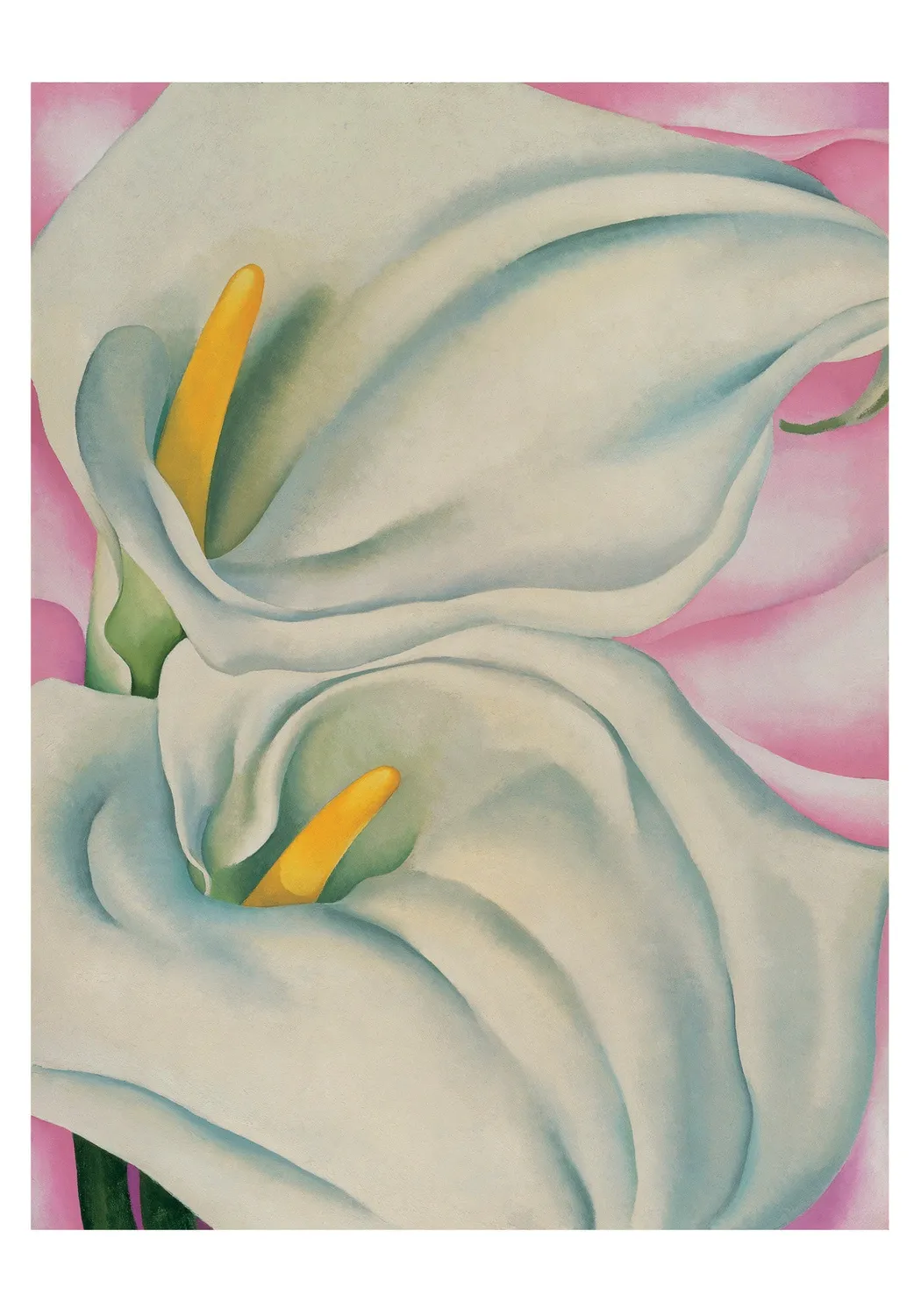 Pomegranate O'Keeffe Two Calla Lilies on Pink kortæske blomst