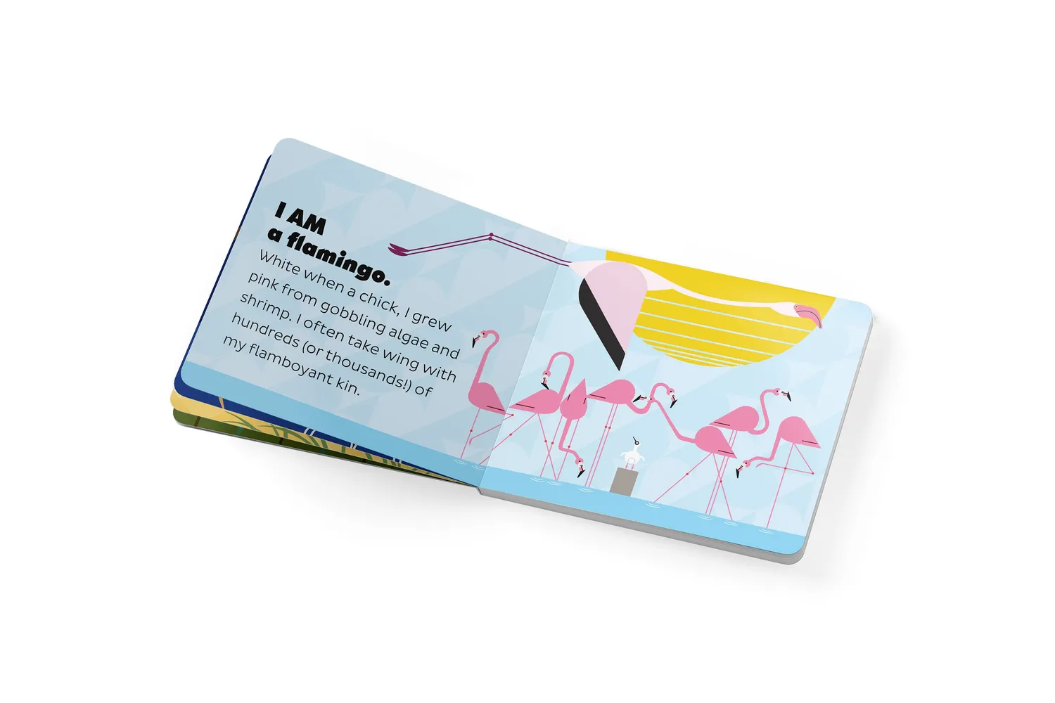 Pomegranate Charley Harper I Am Wild in the Sky board book fugle