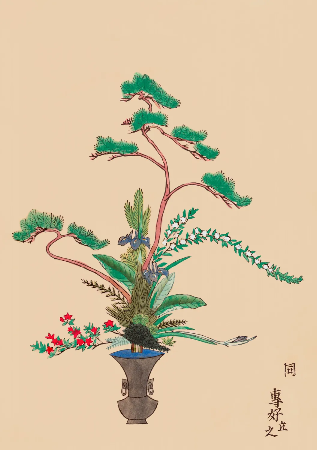 Pomegranate Rikka japanske blomster kortæske 20 stk