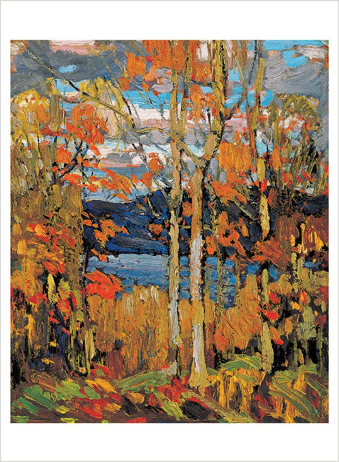 Pomegranate Tom Thomson postkortbog 30 postkort