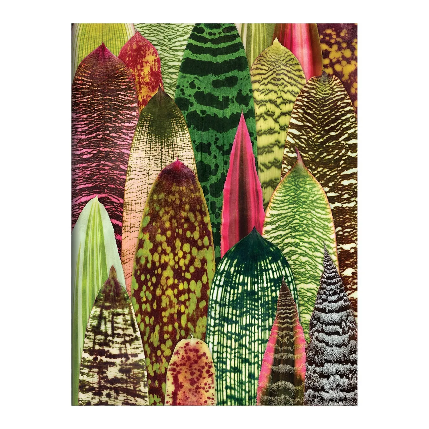 Good Puzzle Co. Houseplant Jungle kortæske 16 kort planter