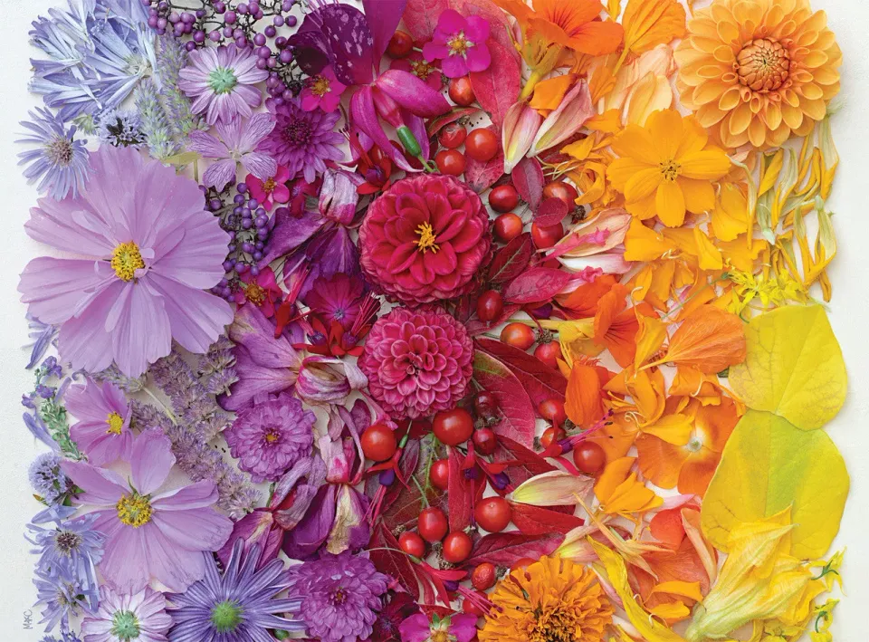 Buffalo Games Bonjour Gradient Flora puslespil 1000 brikker blomst