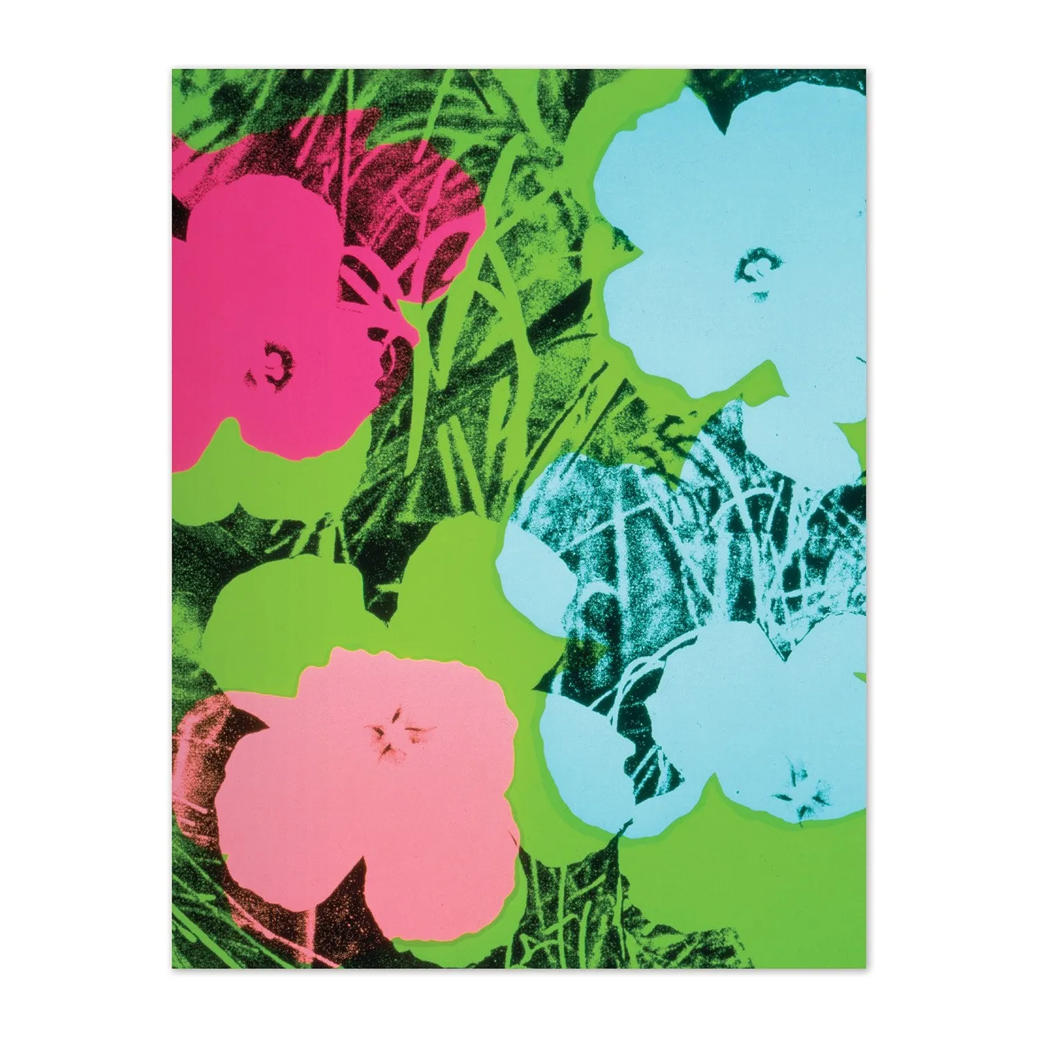 Galison Andy Warhol Pop Art kort sæt 12 stk konvolutter