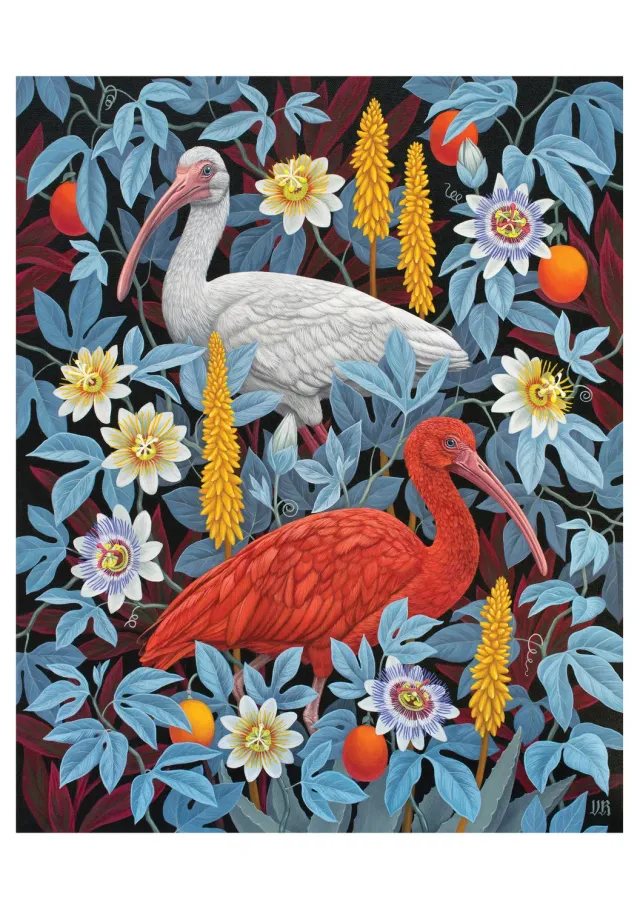 Pomegranate Romanenko Ibises brevkort fugle
