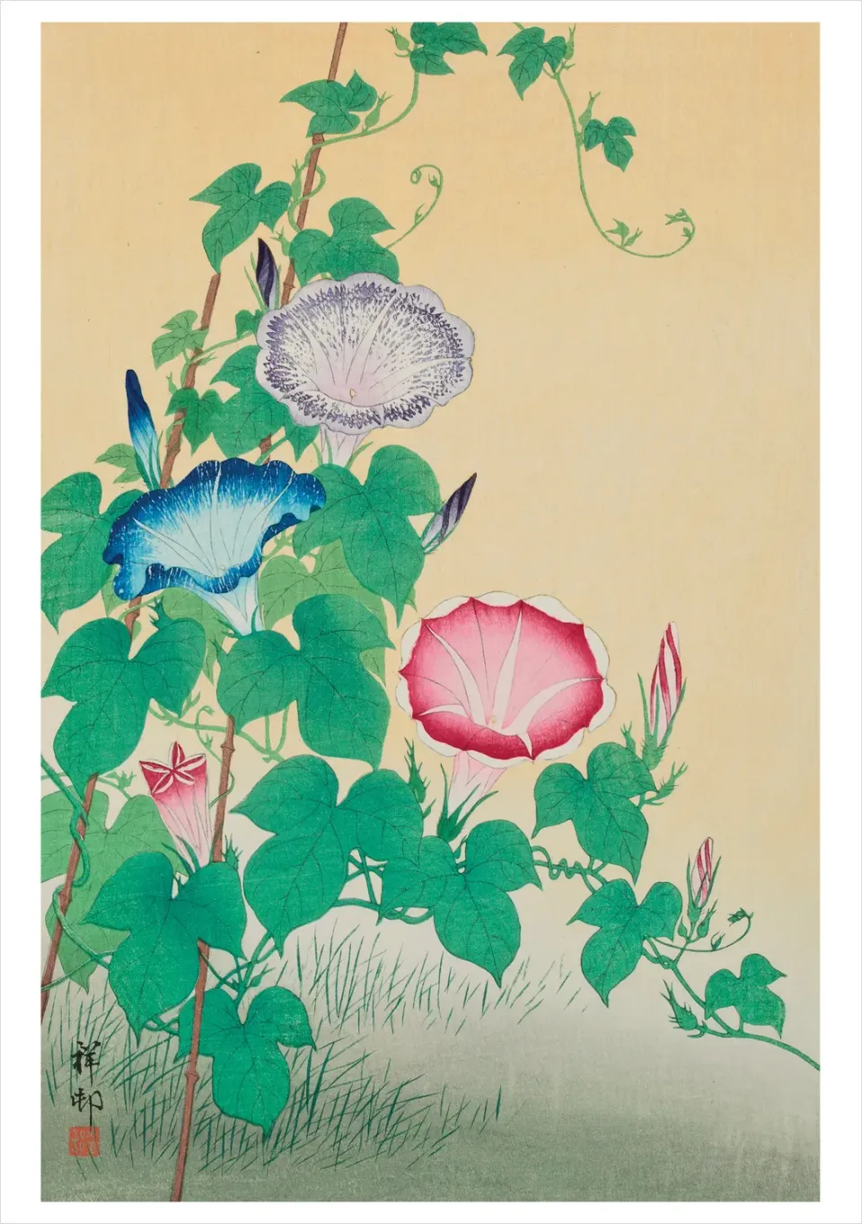 Pomegranate Ohara Koson Morning-Glories fødselsdagskort