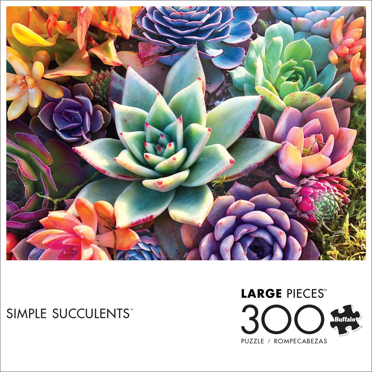 Buffalo Games Simple Succulents puslespil 300 store brikker