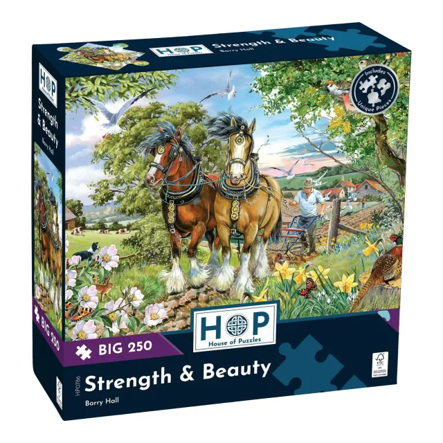 House of Puzzles BIG Strength & Beauty puslespil 250 brikker store