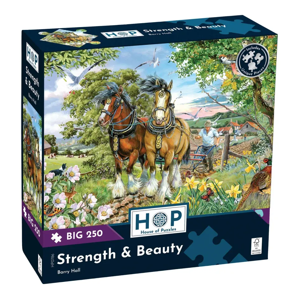 House of Puzzles BIG Strength & Beauty puslespil 250 store brikker