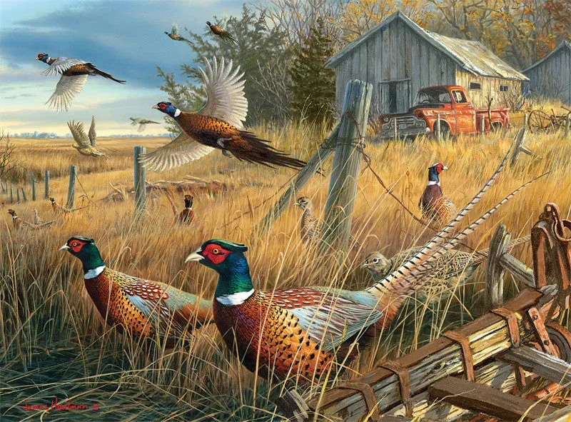 Buffalo Games Hautman Memory Lane puslespil 1000 brikker natur