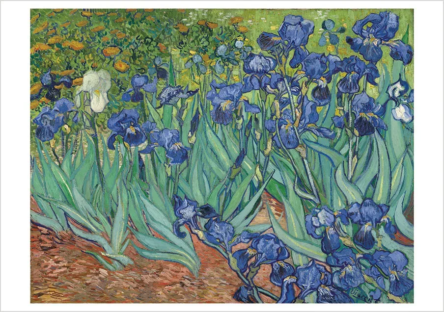 Pomegranate Vincent van Gogh Irises kort enkelt blankt