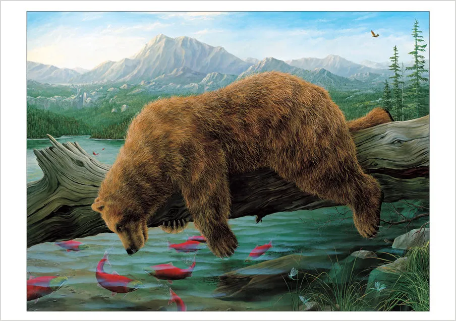 Pomegranate Bears by Bissell kortæske 20 brevkort bjørne