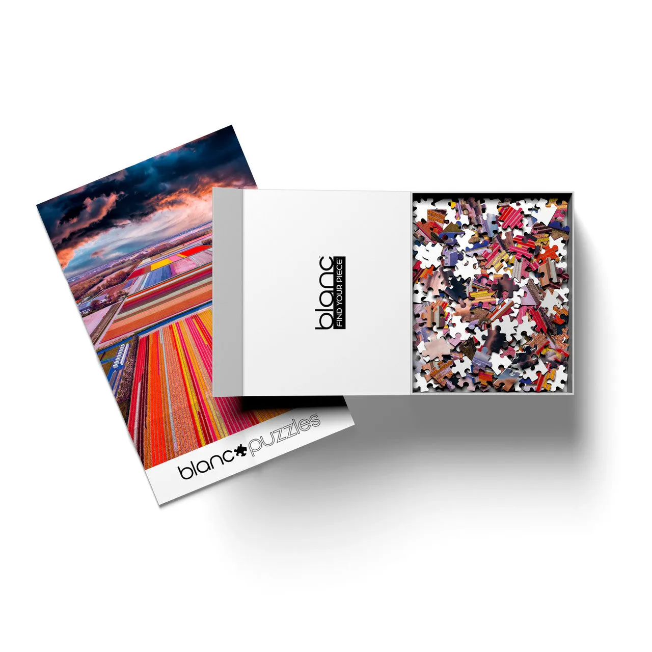 Buffalo Games Blanc Infinity Fields of the Netherlands 1000 puslespil Holland