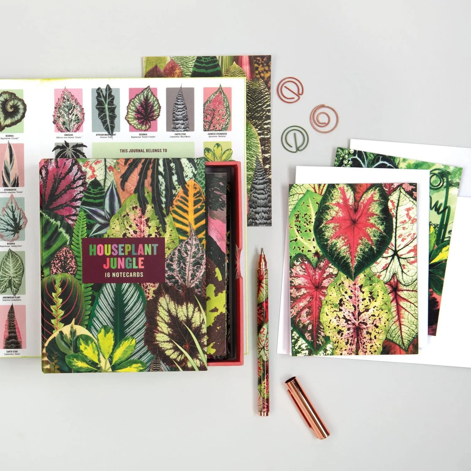 Good Puzzle Co. Houseplant Jungle kortæske 16 kort planter