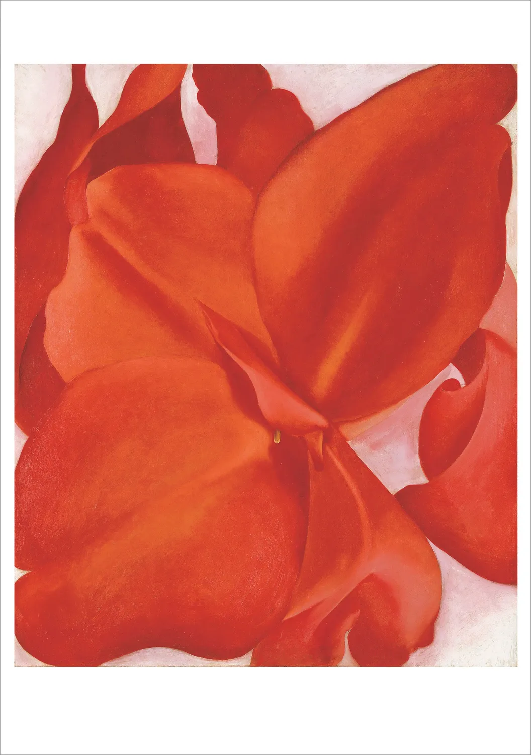 Pomegranate Georgia O’Keeffe kortæske 20 kort blomster