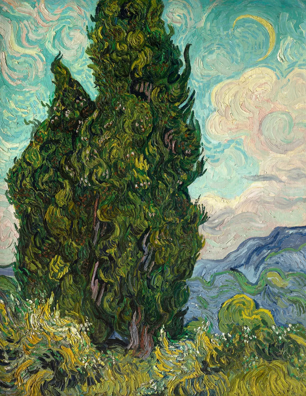 Pomegranate Van Gogh kortæske 20 brevkort landskaber