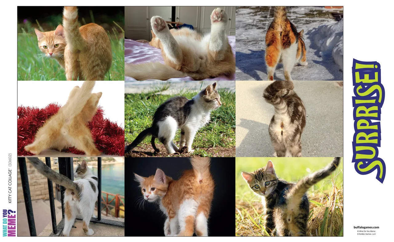 Buffalo Games Prank Puzzles Kitty Collage puslespil 500 brikker prank