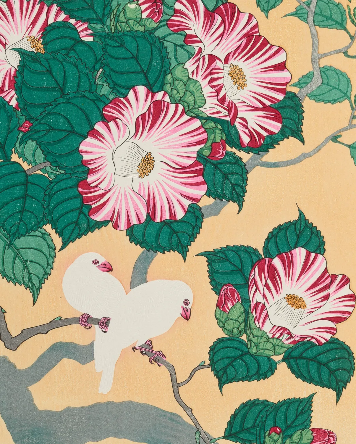 Pomegranate Ohara Shoson kortsæt 16 stk fugle