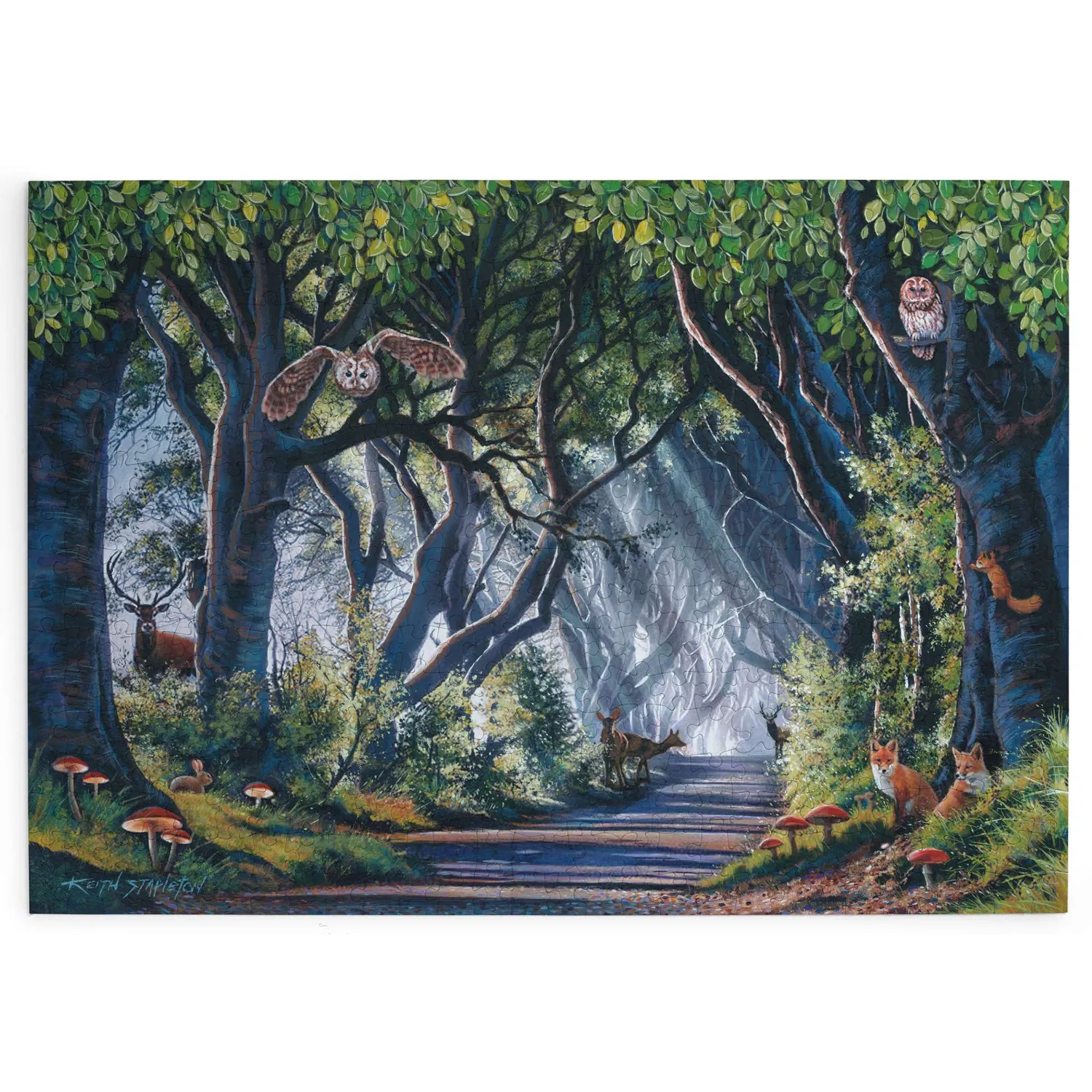 House of Puzzle Dark Hedges puslespil 500 brikker nat