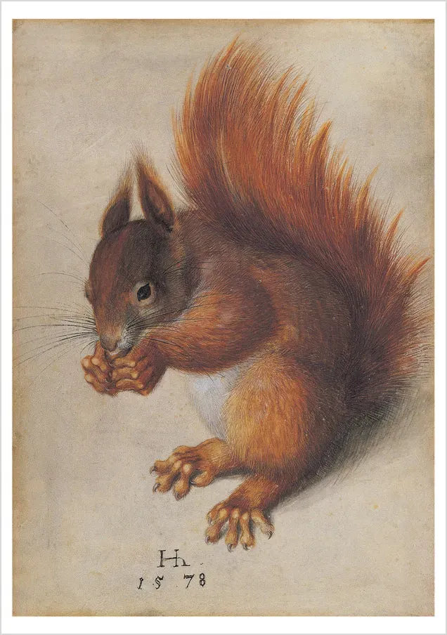 Pomegranate Hans Hoffmann Red Squirrel kort dyr