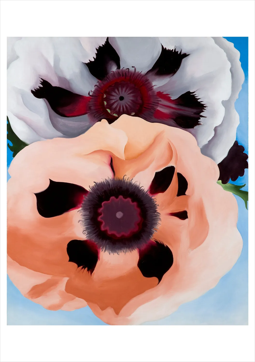 Pomegranate Georgia O’Keeffe Paintings kortsæt 20 stk blomst