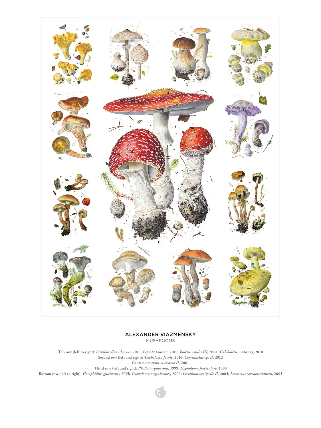 Pomegranate Mushrooms Viazmensky puslespil 1000 brikker svampe